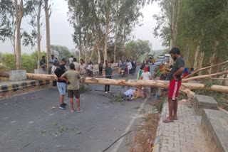 दिल्ली में आई तेज हवाओं से सड़क पर पेड़ गिरा