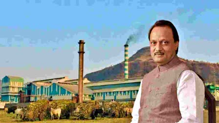 Deputy Chief Minister Ajit Pawar