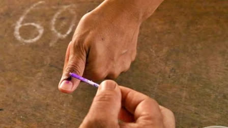 Explained | Exit Polls and Opinion Polls: Differences Between Them