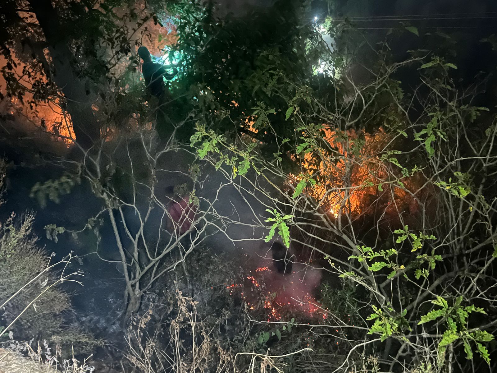 Fire in Mussoorie forest