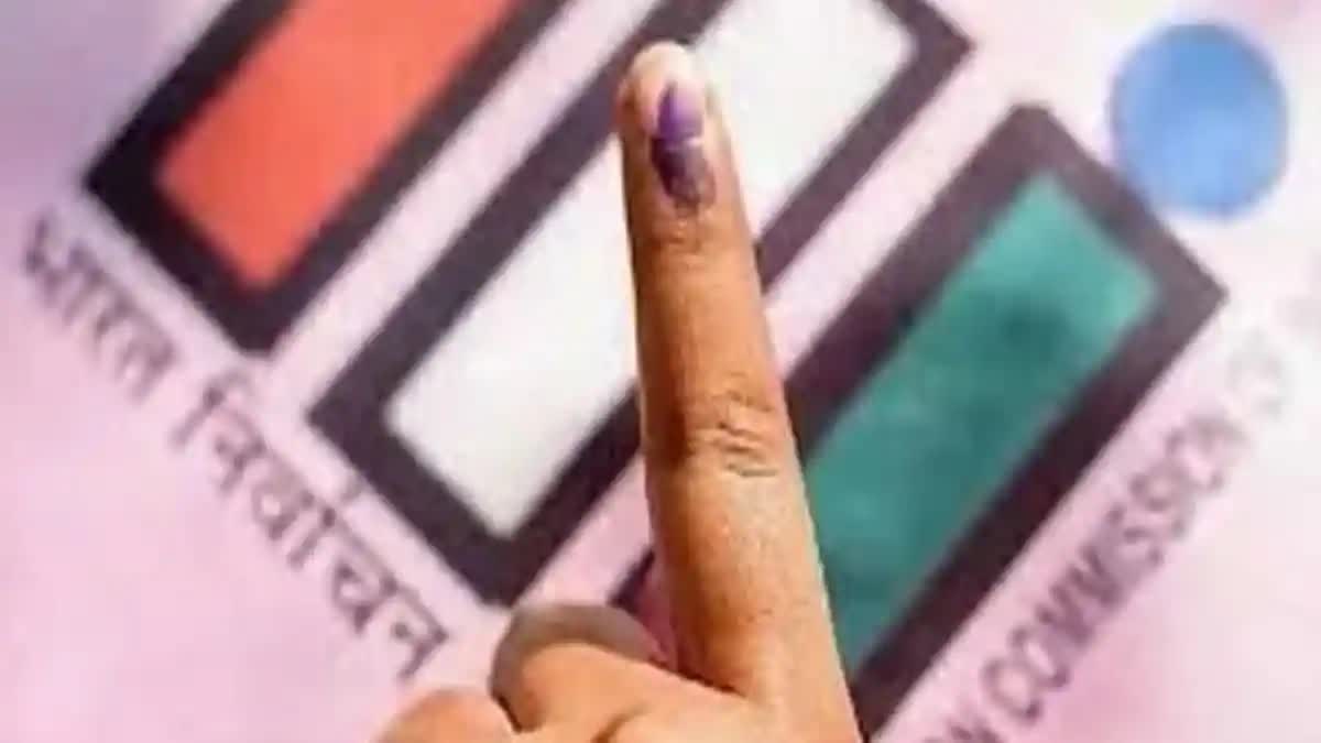 વિસાવદર અને કડી વિધાનસભા બેઠક, કેમ હંમેશા રહે છે ચર્ચામાં ?