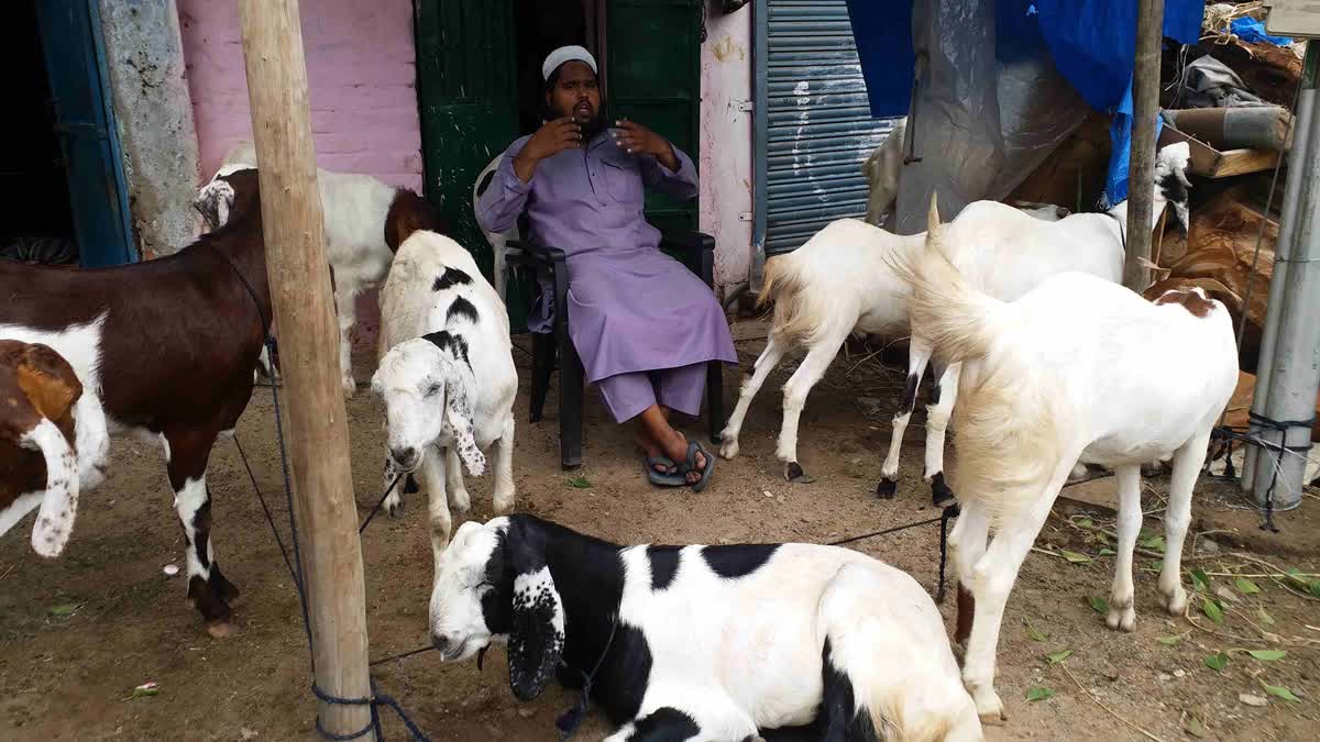 قربانی سے متعلق مفتی محمد اسجد قاسمی کی عوام سے اپیل