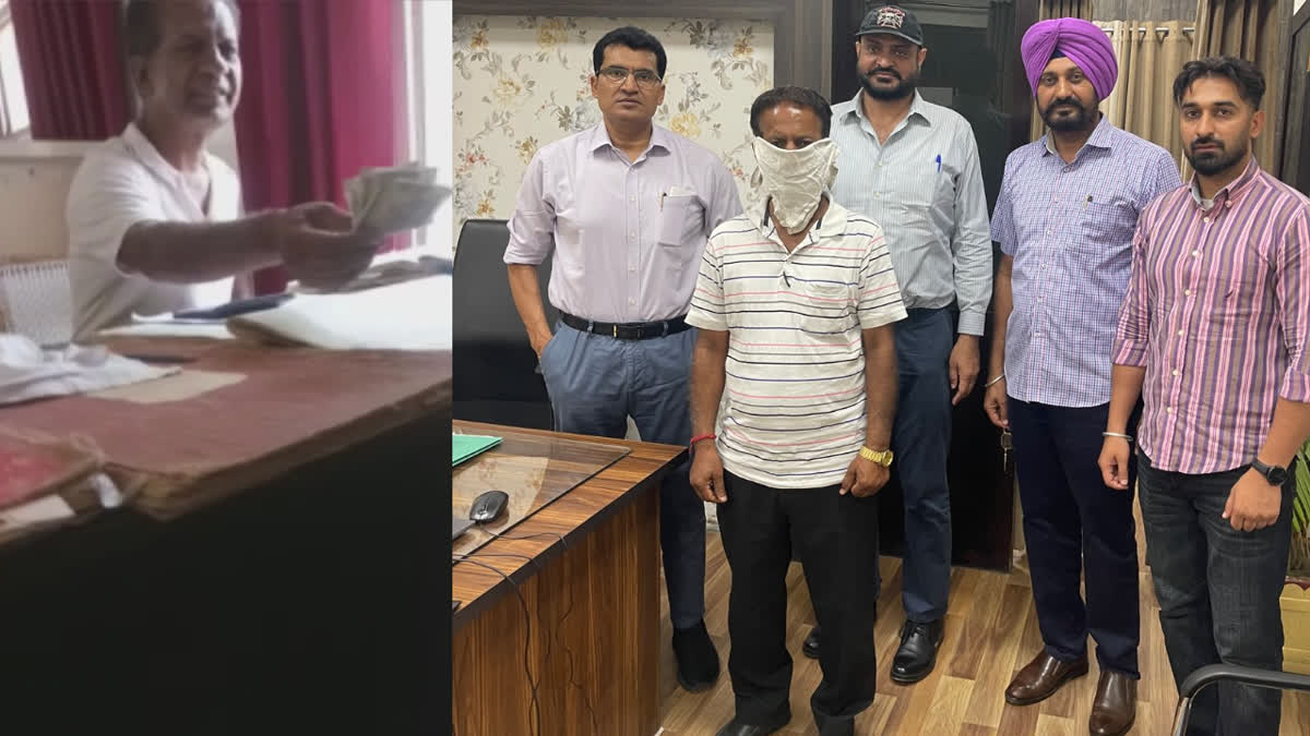 Patwari of Mahilpur Tehsil arrested for taking bribe of 2 thousand