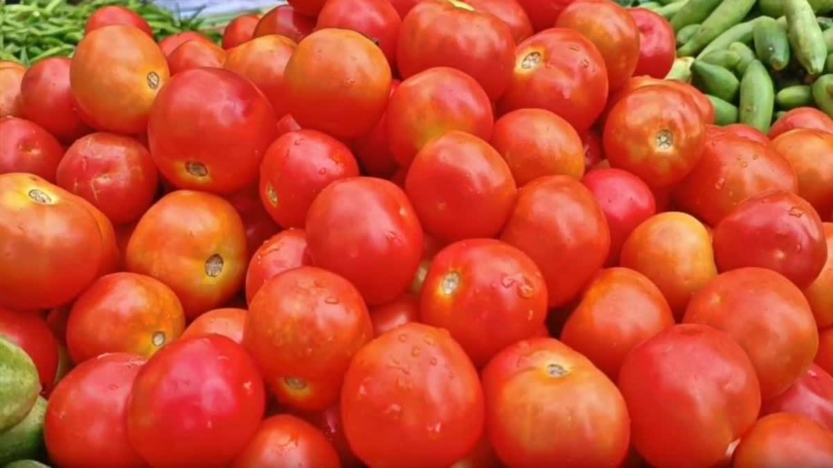 tomato prices hike