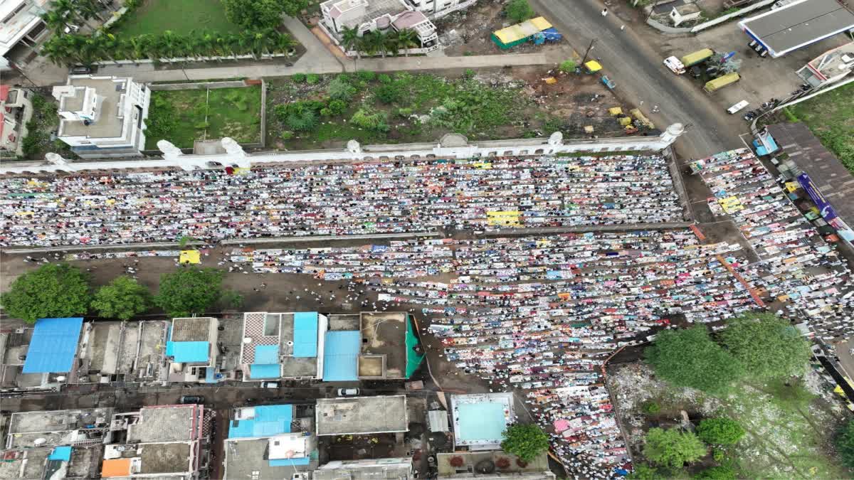 ujjain eid ul azha prayers