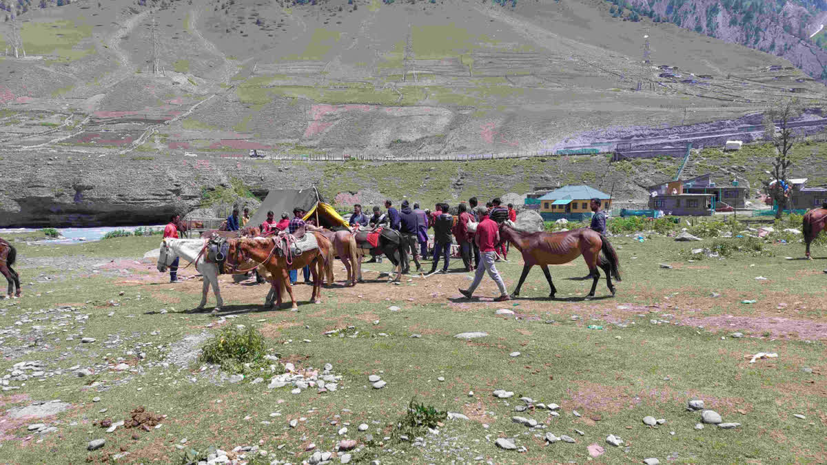 Amarnath Yatra 2023