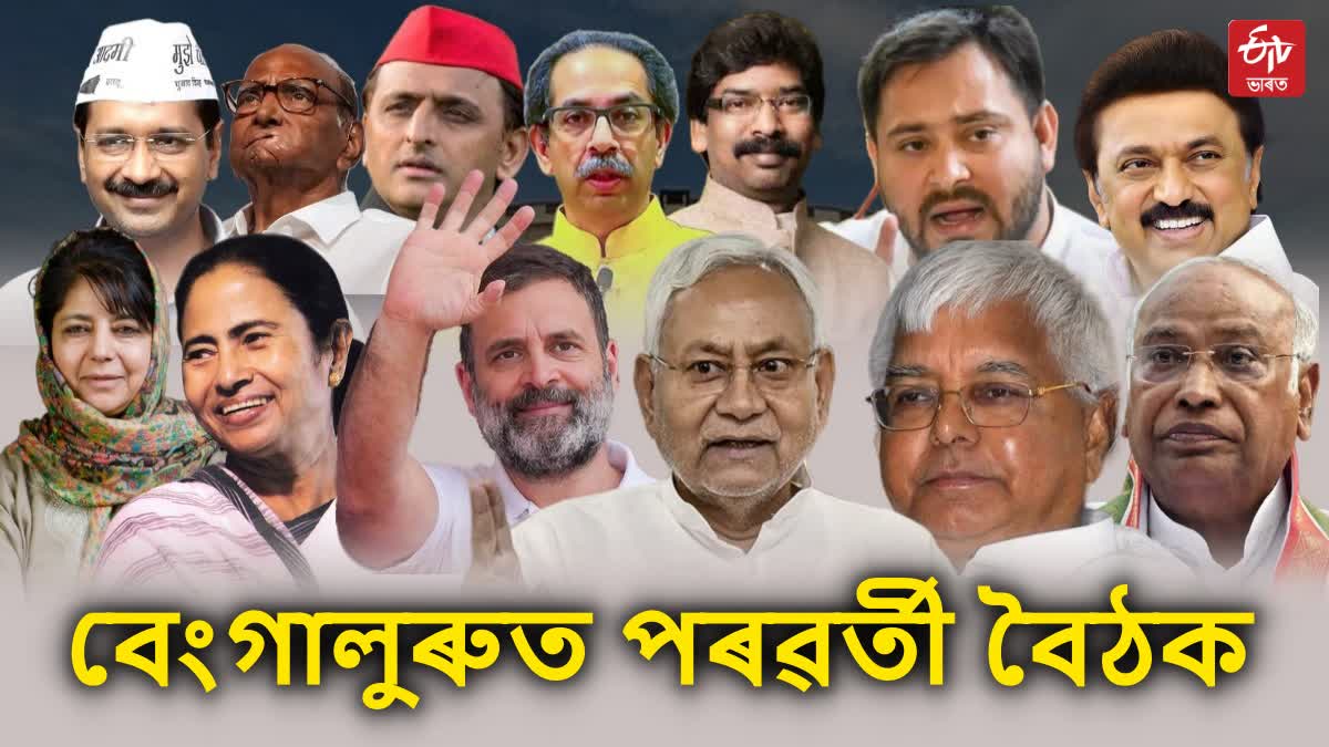 Opposition unity