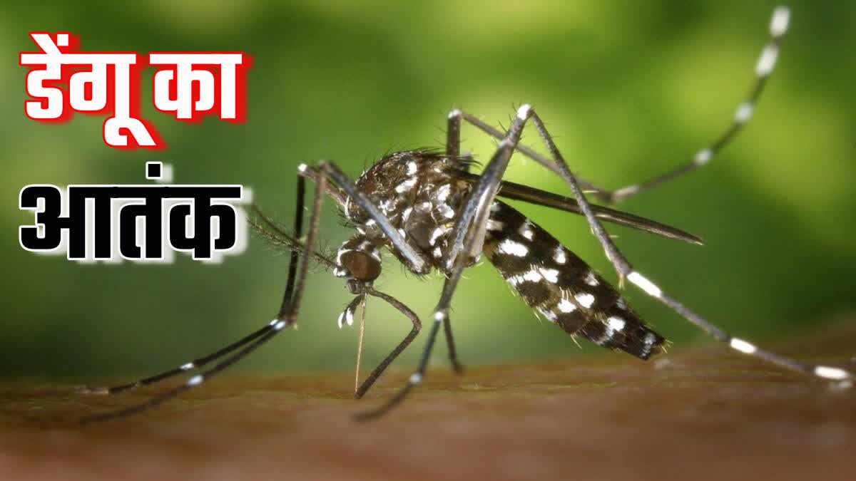 Dengue fever spread in Kerala