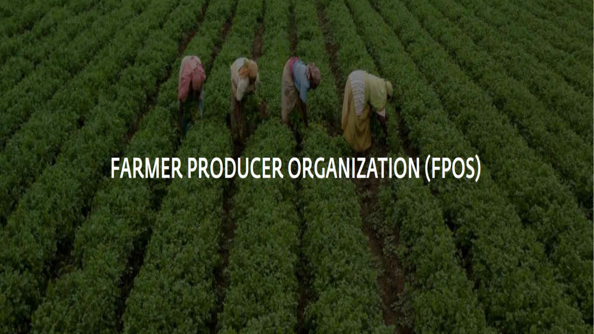 isha-foundation-india-farmer-producer-organisation-progress