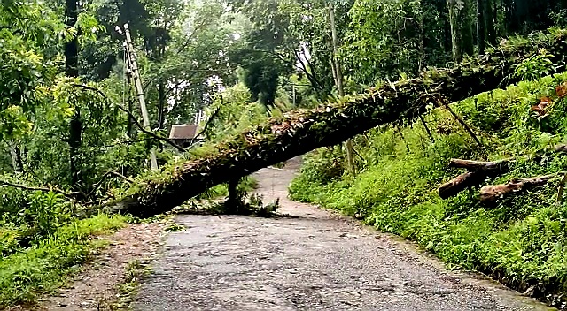 Rain in hills