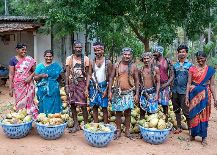 isha-foundation-india-farmer-producer-organisation-progress