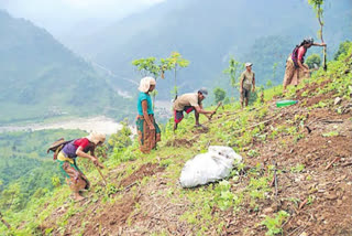 Podu Land Pattas Distribution Tommorow