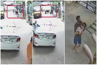 dog attacked four year old child  dog attacked four year old child in Bengaluru  Dog attack news  ನಾಲ್ಕು ವರ್ಷದ ಮಗುವಿನ ಮೇಲೆರಗಿದ ಜರ್ಮನ್​ ಶಫರ್ಡ್​ ಶ್ವಾನ  ನಾಲ್ಕು ವರ್ಷದ ಹೆಣ್ಣು ಮಗುವಿನ ಮೇಲೆ ಸಾಕು ನಾಯಿ ದಾಳಿ  ಮಗು ವಿನೀಶಾ ಮೇಲೆ ಜರ್ಮನ್ ಶಫರ್ಡ್ ತಳಿಯ ಸಾಕು ಶ್ವಾನ ದಾಳಿ  ಚಂದ್ರಶೇಖರ್ ಮತ್ತು ಶೀಲಾ ದಂಪತಿಯ ನಾಲ್ಕು ವರ್ಷದ ಮಗಳು  ಕೆಆರ್ ಪುರದ ಸರ್ಕಾರಿ ಆಸ್ಪತ್ರೆಯಲ್ಲಿ ಪ್ರಾಥಮಿಕ ಚಿಕಿತ್ಸೆ  ನಗರದ ವಿಕ್ಟೋರಿಯಾ ಆಸ್ಪತ್ರೆ