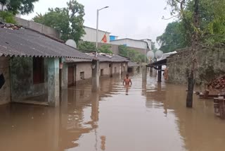 ગુજરાતમાં સૌથી વધુ વરસાદ વલસાડના પારડીમાં આઠ ઇંચ નોંધાયો : નવસારીમાં ઓરેન્જ એલર્ટ, દ. ગુજમાં જળ બંબાકાર
