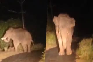 mangakomban  rrt vehicle  palakkad  mangakomban trying attack rrt vehicle  wild elephant  attapdi  latest news today  ആർ ആർ ടി  മാങ്ങാക്കൊമ്പൻ  പാഞ്ഞടുത്ത് മാങ്ങാക്കൊമ്പൻ  ജീവനക്കാര്‍ രക്ഷപെട്ടത് തലനാരിഴയ്‌ക്ക്  wild elephant attack  പാലക്കാട് ഏറ്റവും പുതിയ വാര്‍ത്ത  ഇന്നത്തെ പ്രധാന വാര്‍ത്ത