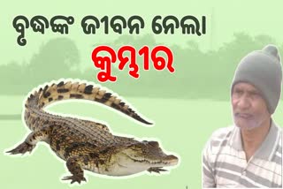 crocodile drag and kills old man in Kendrapara