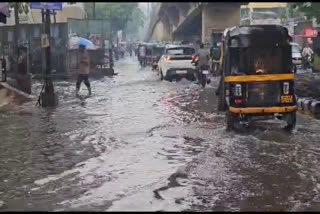 Mumbai rains: 1 person killed in tree fall incident; IMD forecasts more downpours on Thursday