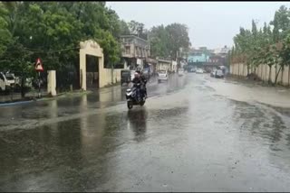 Navsari Monsoon Update : અવિરત વરસાદના પગલે નદીઓ બે કાંઠે વહી
