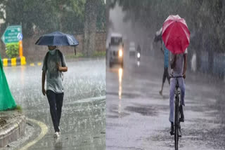 Punjab Weather Report: Moderate speed of monsoon in Punjab, know what is the forecast for the coming days