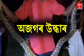 Python rescued at Jamugurihat