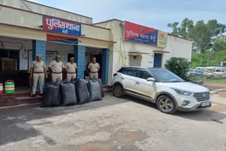 Chittorgarh police seized doda sawdust,  seized doda sawdust worth Rs 7 lakh