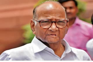 Sharad Pawar, NCP chief