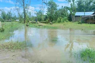 rai river of dhemaji