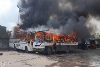 Eight buses caught fire