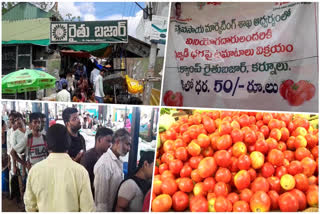 50 rupees per kg tomato in Kurnool