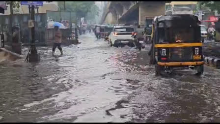 Mumbai rains: 1 person killed in tree fall incident; IMD forecasts more downpours on Thursday