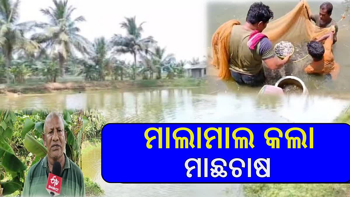KAILASH CHANDRA SAHU BECOME SELF SUFFICIENT BY FISH FARMING