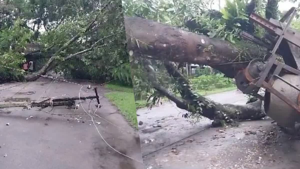 Khowang hits by rain and thunderstorm : Damages reported in several parts