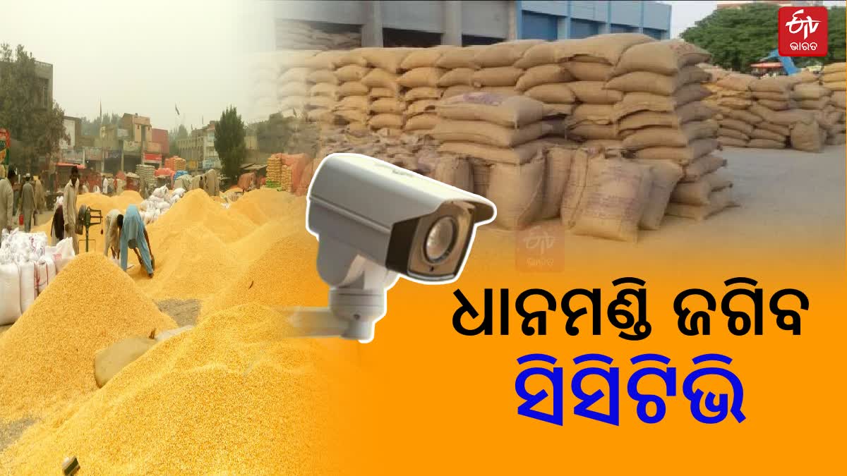 CCTV Cameras in Rice Mandi