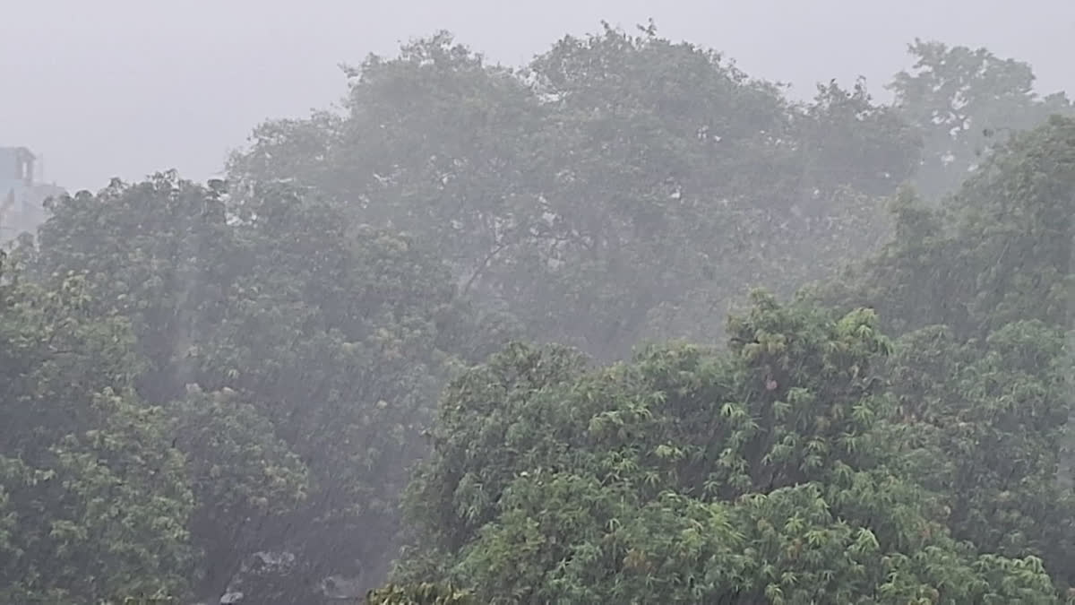 Bihar Monsoon Update