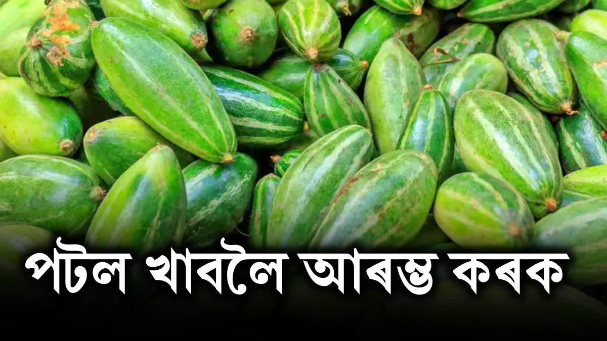 Amazing Benefits of Eating Pointed gourd Potol in Assamese