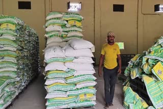 PADDY SEEDS SALE