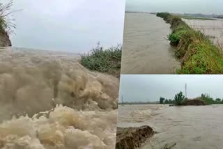 Guide dam collapsed in Jonai for flood