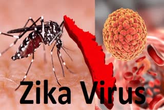 Zika Virus In Pune