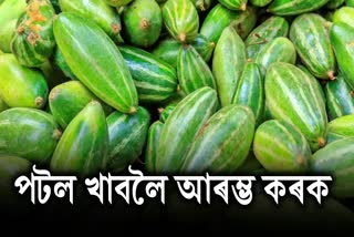 Amazing Benefits of Eating Pointed gourd Potol in Assamese