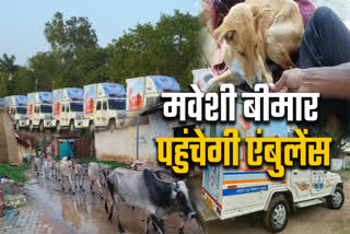 MP ANIMAL AMBULANCE SERVICE