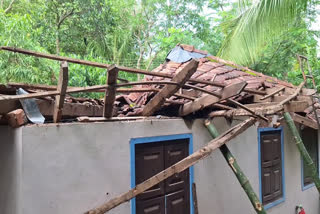 HEAVY WIND AND RAIN  ROOF OF THE HOUSE COLLAPSED  വീടിൻ്റെ മേൽക്കൂര തകർന്നു വീണു  കനത്ത കാറ്റും മഴയും