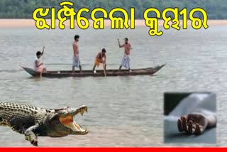 CROCODILE ATTACK IN SATKOSIA