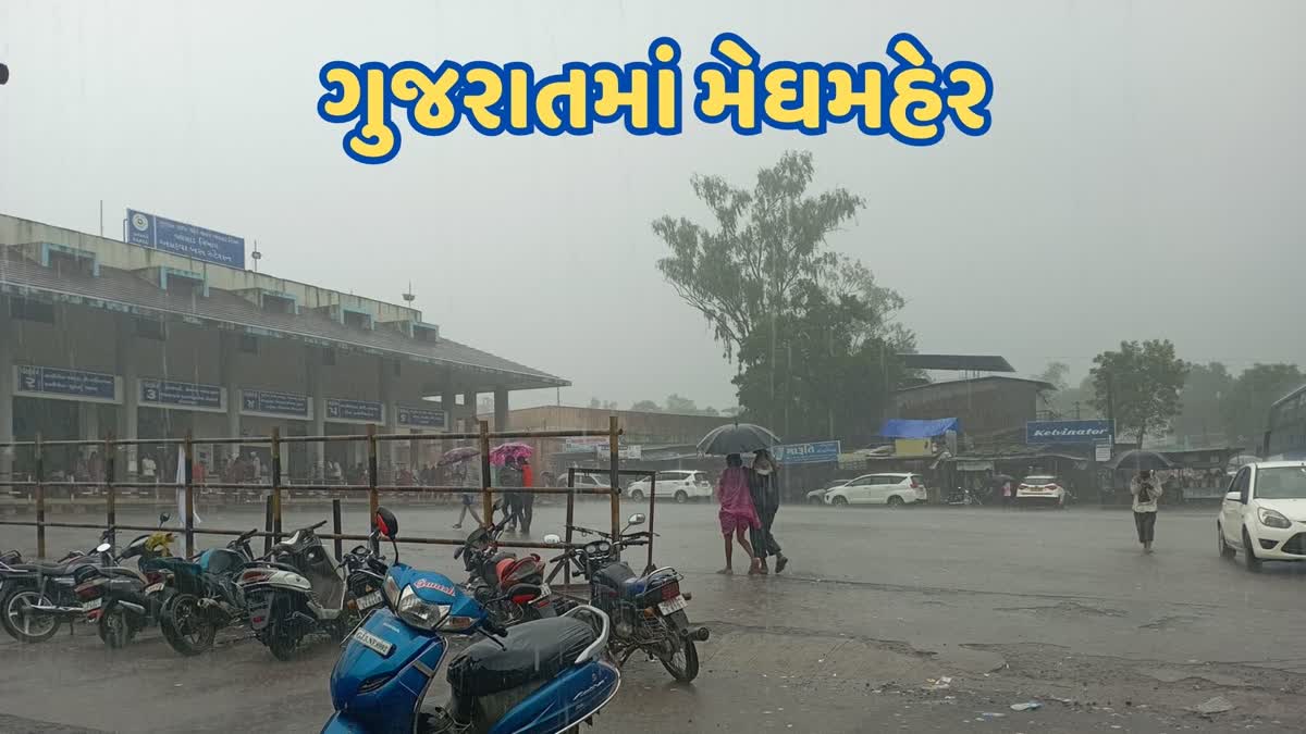 gujarat-rainfall-in-114-taluks-in-last-24-hours-in-gujarat-meteorological-department-predicted-heavy-rain-in-gujarat-today
