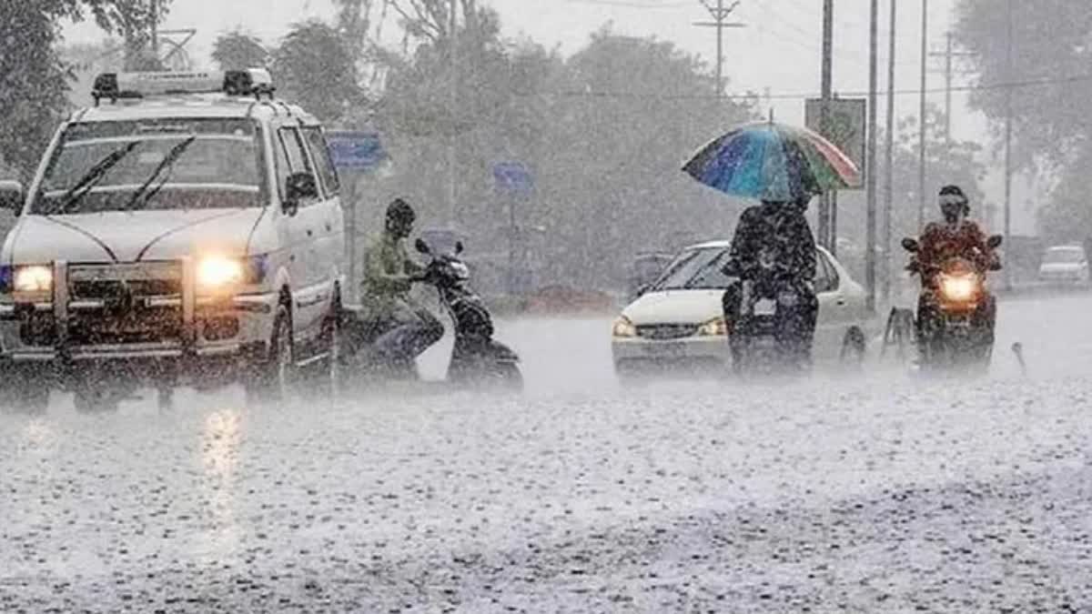 rain alert in haryana