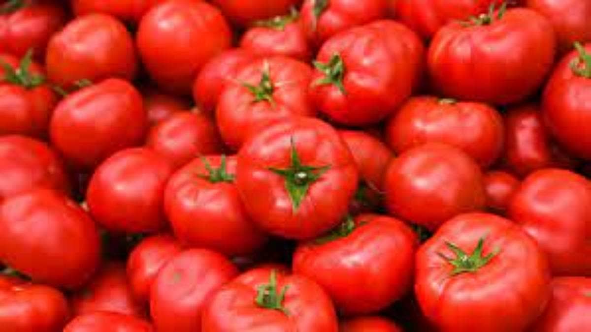 Tomato Theft Kolhapur