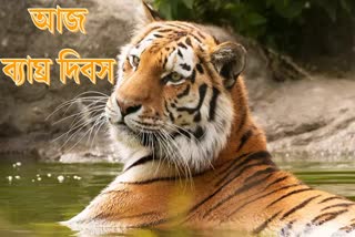 International Tiger Day 2023