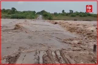 Telangana floods
