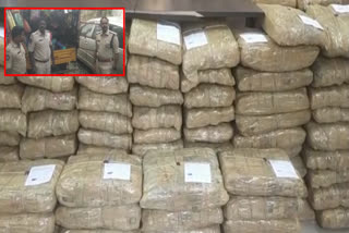 304 kg ganja seized