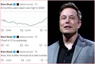 X users in 2023 Elon Musk