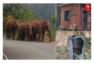 elephant attack on Police checkpost
